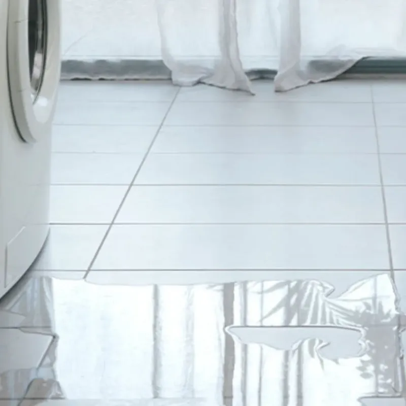 Appliance Leak Cleanup in Lukachukai, AZ