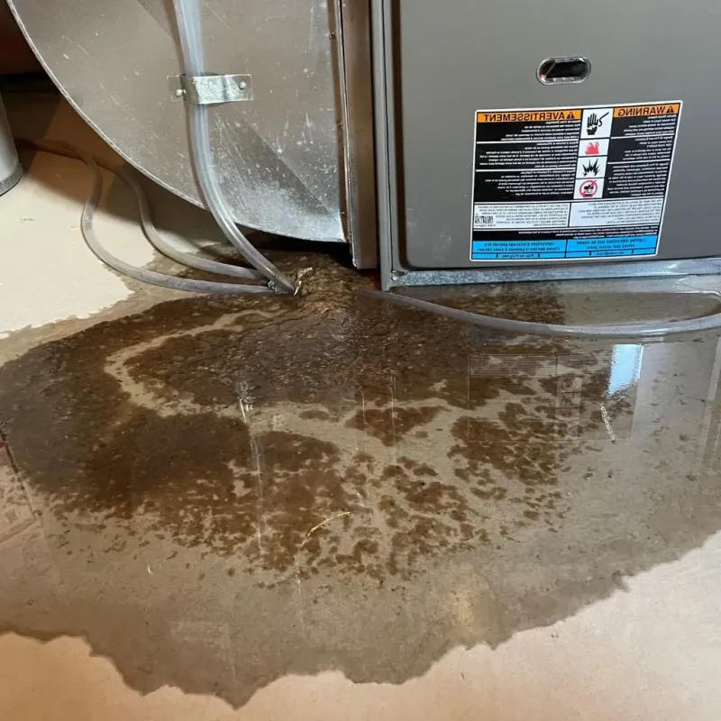 Pipe Burst and Leak Restoration in Lukachukai, AZ