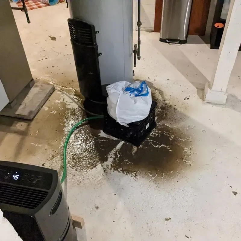 Sewage Backup Cleanup Service in Lukachukai, AZ